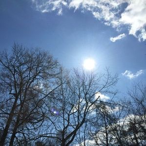 Meet your Posher, Griselda